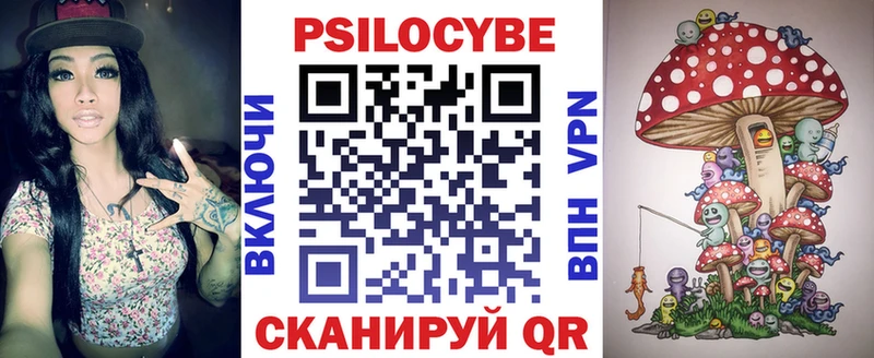 Галлюциногенные грибы Psilocybine cubensis  нарко площадка какой сайт  Усть-Кут  мега зеркало 